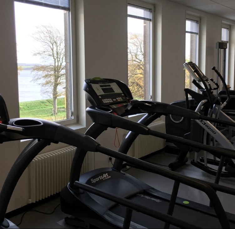 Billede der viser træningsmaskiner